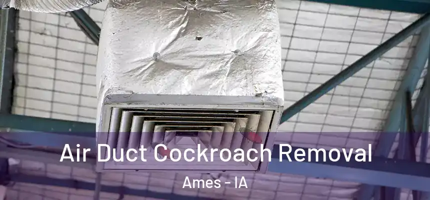  Air Duct Cockroach Removal Ames - IA