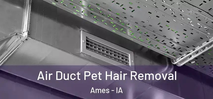 Air Duct Pet Hair Removal Ames - IA
