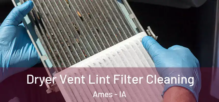  Dryer Vent Lint Filter Cleaning Ames - IA