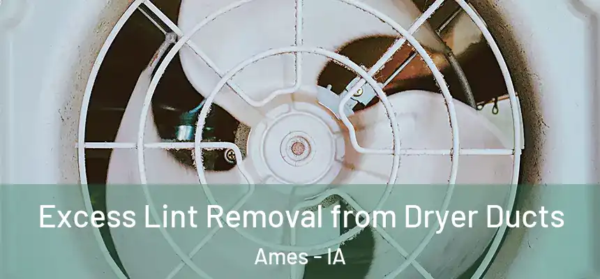  Excess Lint Removal from Dryer Ducts Ames - IA