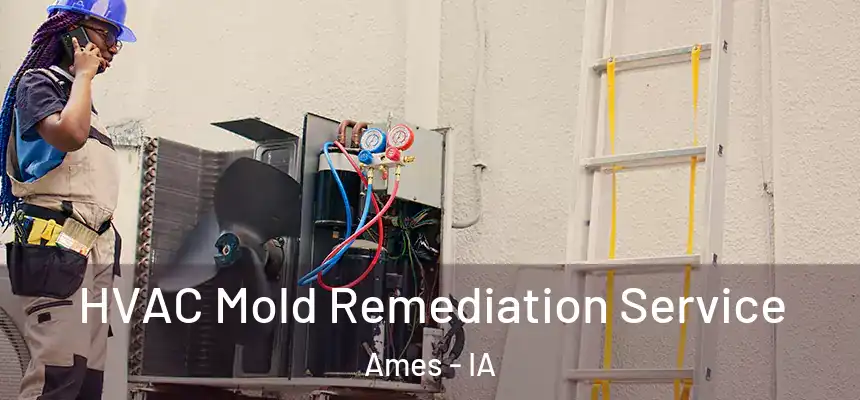  HVAC Mold Remediation Service Ames - IA