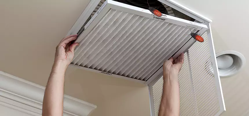 Preventive Cockroach-Proofing for Ducts in Ames