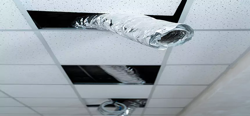 Affordable HVAC Sanitizing After Pest Removal in Ames