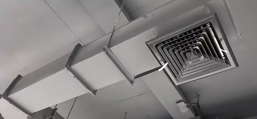 Our Pest Removal From Ducts Services in Ames, IA