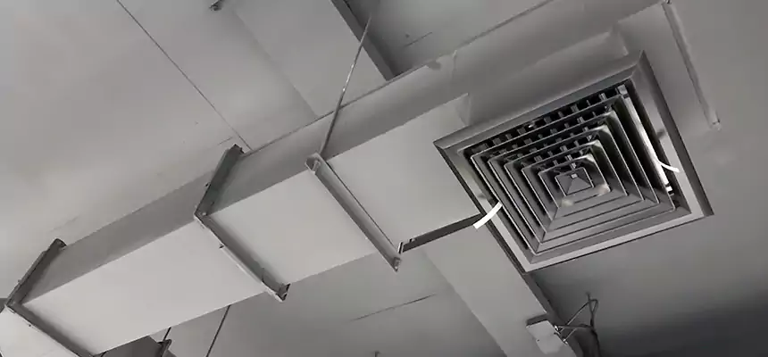 Our Rodent Droppings In Vents Services in Ames, IA