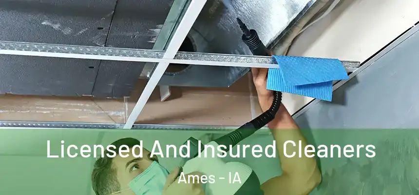 Licensed And Insured Cleaners Ames - IA