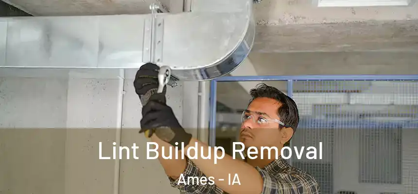  Lint Buildup Removal Ames - IA