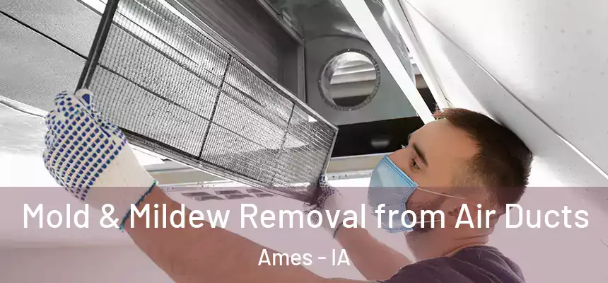  Mold & Mildew Removal from Air Ducts Ames - IA