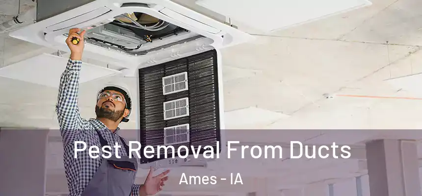 Pest Removal From Ducts Ames - IA