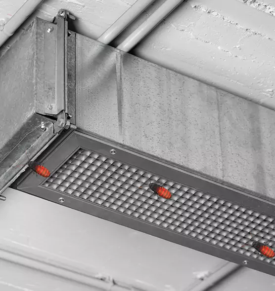 About Air Duct Cockroach Removal in Ames, IA