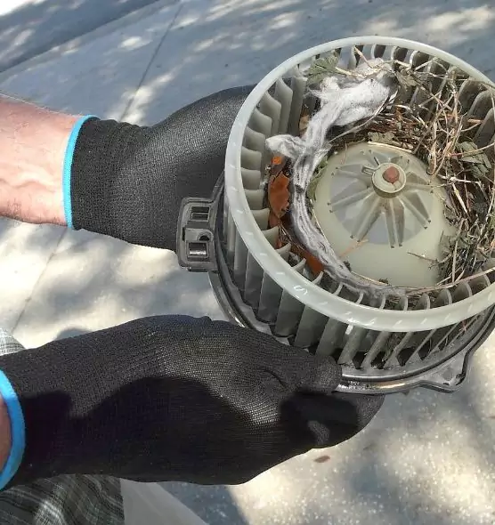 About Air Duct Mice Removal in Ames, IA