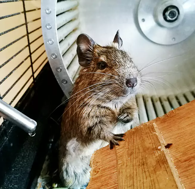 Why Homeowners & Businesses Trust Us Ames, IA?