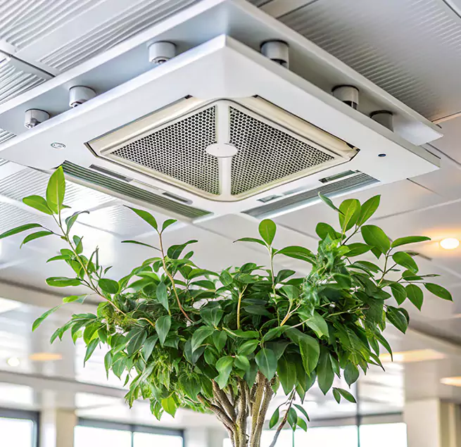 Why Homeowners & Businesses Trust Us in Ames, IA?