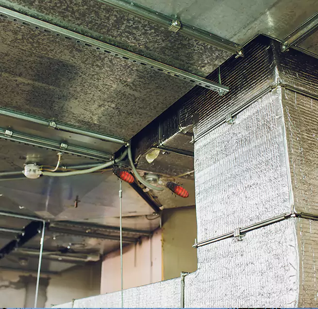 Why Homeowners & Businesses Trust Us Ames, IA?